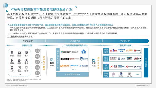 人工智能基础数据服务与软件开发白皮书
